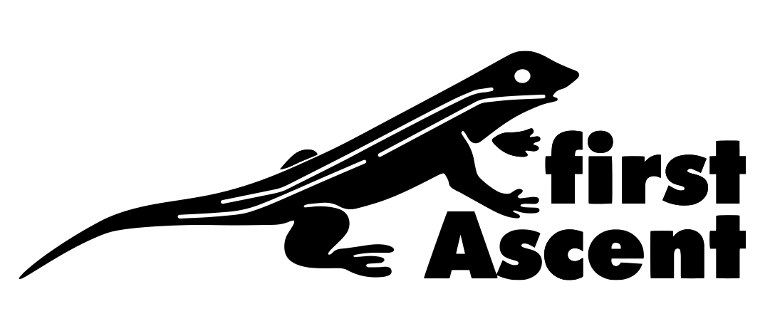 DOT-Brand-Logo_First-Ascent.webp